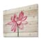 Designart - Vintage Detail of A Pink Lotus - Traditional Print on Natural Pine Wood